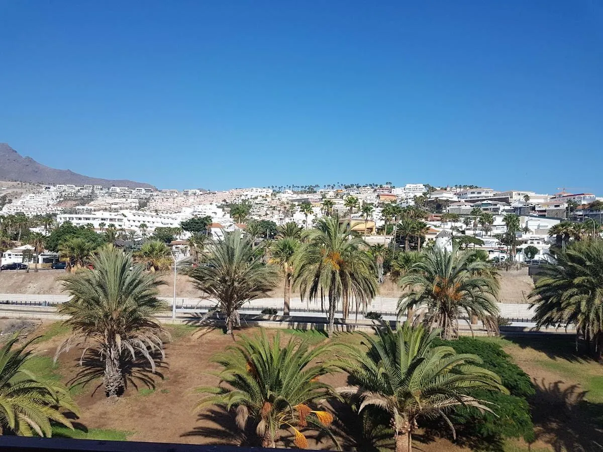 Palmeras Del Sur Juan 플라야데라스아메리카스
