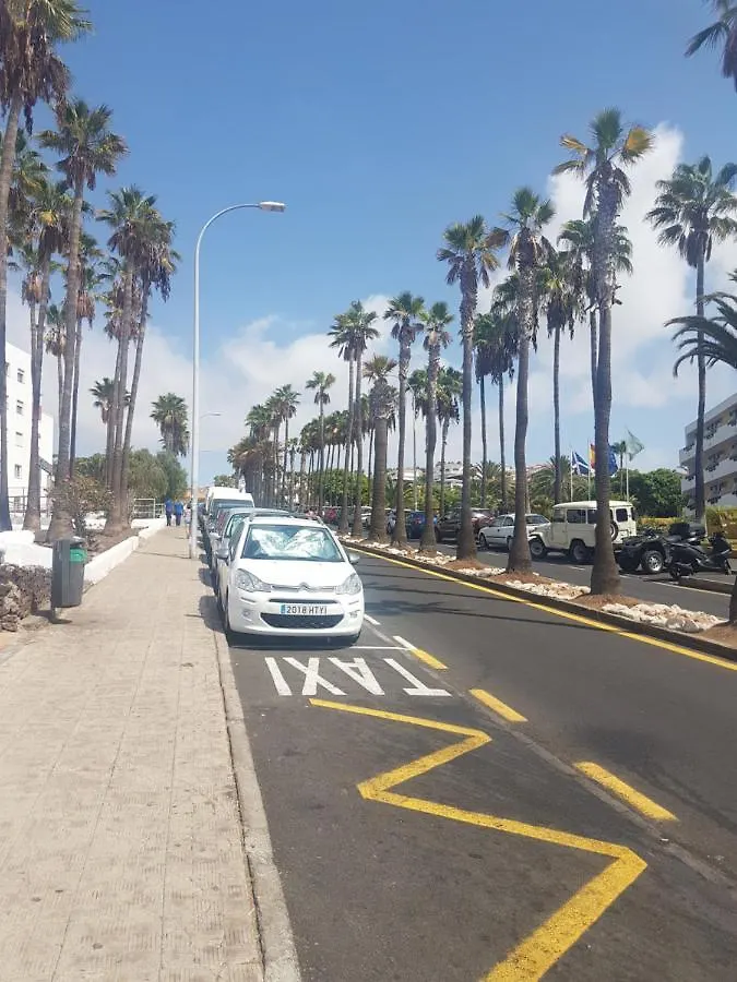 Palmeras Del Sur Juan Playa de las Americas  Spain
