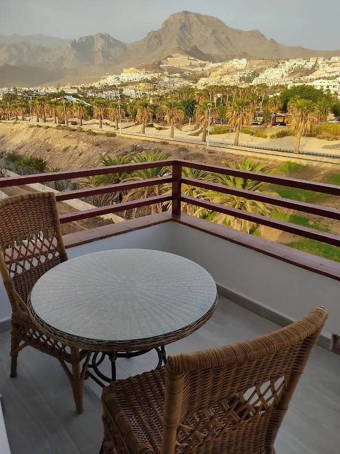 Apartment Palmeras Del Sur Juan Playa de las Americas  Spain